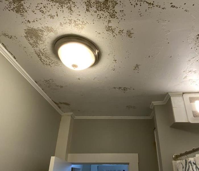 mold on bathroom ceiling
