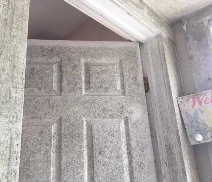 mold damaged door and walls