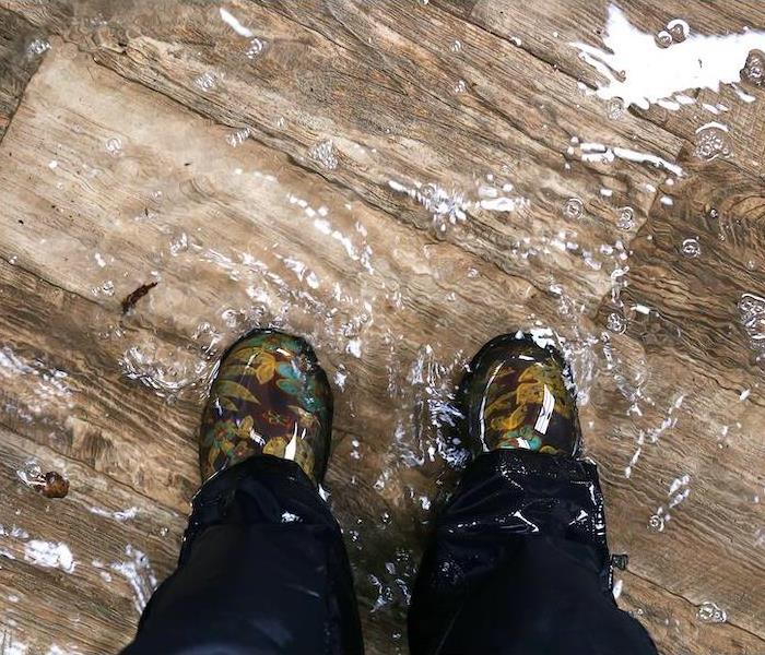 A woman's feet, wearing waterproof rain boots are standing in a flooded house with vinyl wood floors.