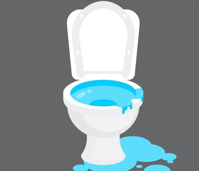 over flowing toilet