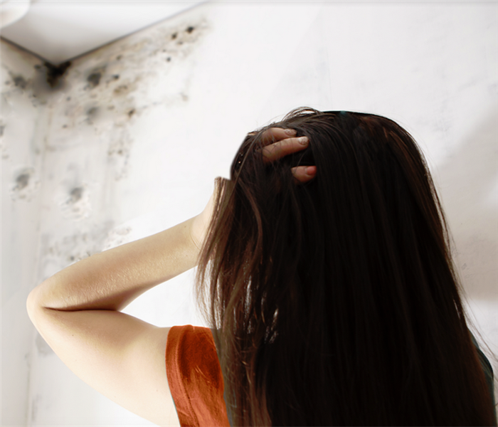 a woman looking at a mold infested wall