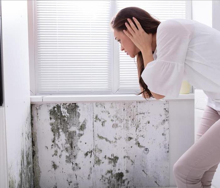 mold damage on wall