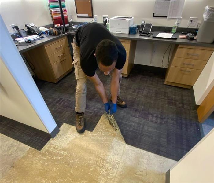 SERVPRO technician removing a wet carpet